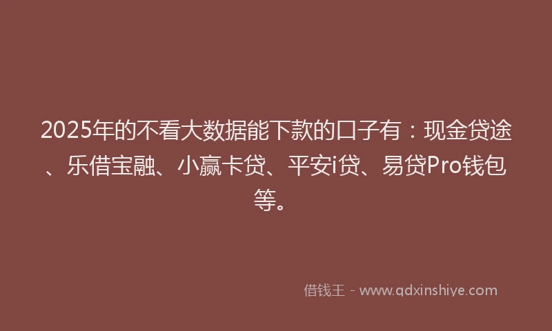 2025年的不看大数据能下款的口子有：现金贷途、乐借宝融、小赢卡贷、平安i贷、易贷Pro钱包等。