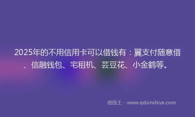 2025年的不用信用卡可以借钱有：翼支付随意借、信融钱包、宅租机、芸豆花、小金鹤等。