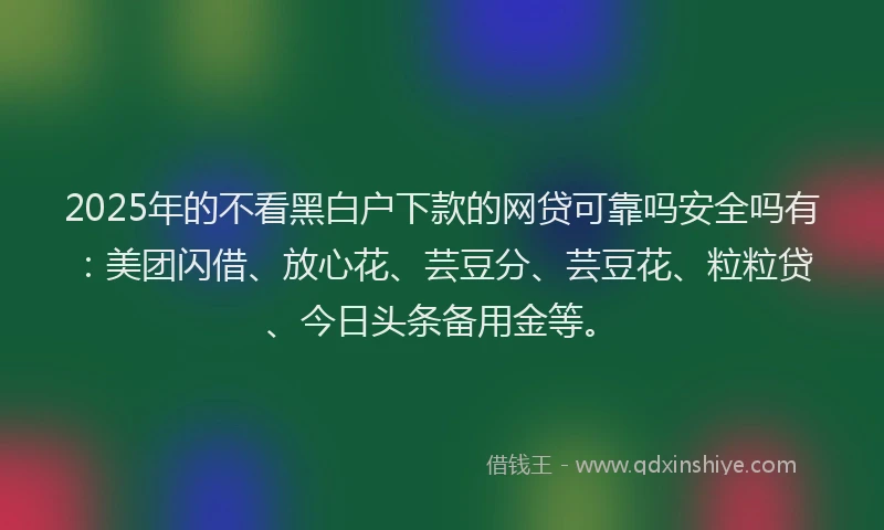 2025年的不看黑白户下款的网贷可靠吗安全吗有：美团闪借、放心花、芸豆分、芸豆花、粒粒贷、今日头条备用金等。