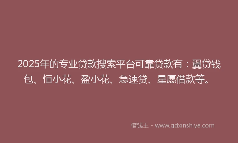 2025年的专业贷款搜索平台可靠贷款有：翼贷钱包、恒小花、盈小花、急速贷、星愿借款等。