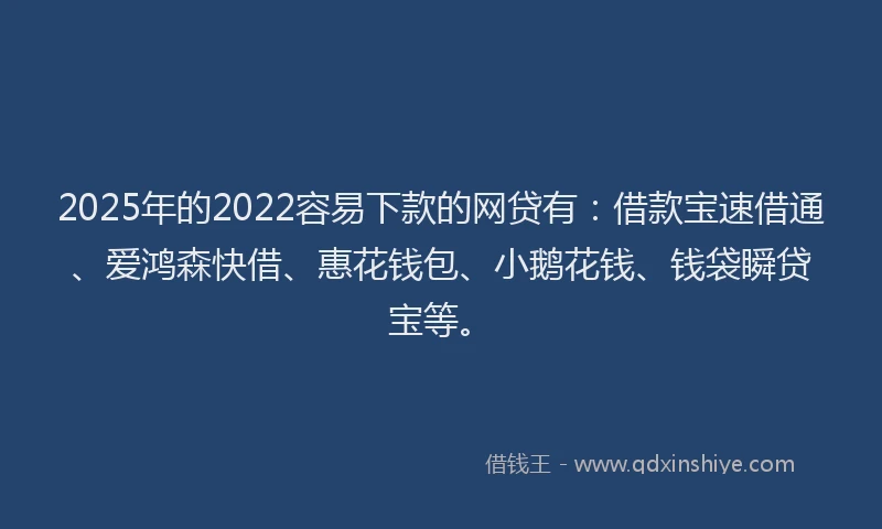 2025年的2022容易下款的网贷有：借款宝速借通、爱鸿森快借、惠花钱包、小鹅花钱、钱袋瞬贷宝等。