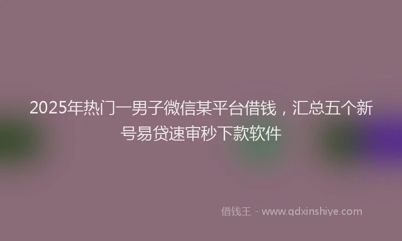 2025年热门一男子微信某平台借钱，汇总五个新号易贷速审秒下款软件