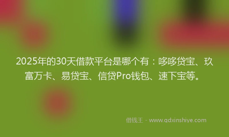 2025年的30天借款平台是哪个有：哆哆贷宝、玖富万卡、易贷宝、信贷Pro钱包、速下宝等。