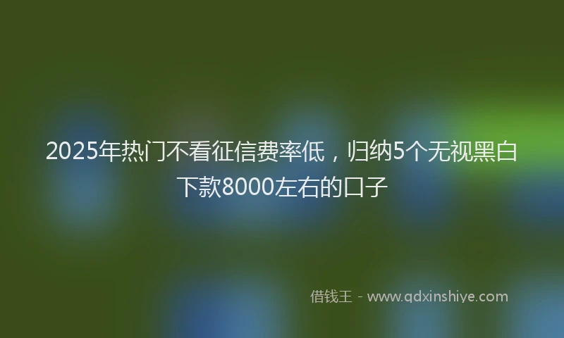 2025年热门不看征信费率低，归纳5个无视黑白下款8000左右的口子