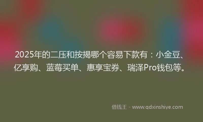 2025年的二压和按揭哪个容易下款有：小金豆、亿享购、蓝莓买单、惠享宝券、瑞泽Pro钱包等。