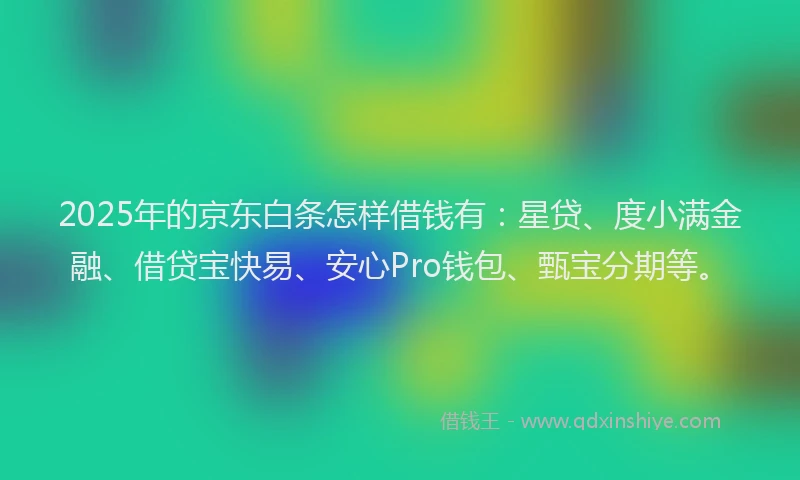 2025年的京东白条怎样借钱有：星贷、度小满金融、借贷宝快易、安心Pro钱包、甄宝分期等。