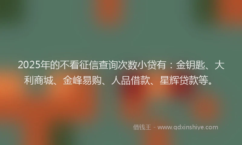 2025年的不看征信查询次数小贷有：金钥匙、大利商城、金峰易购、人品借款、星辉贷款等。