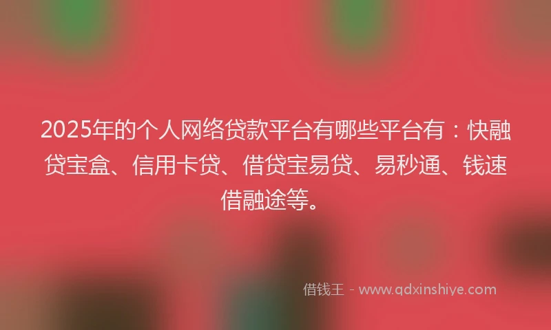 2025年的个人网络贷款平台有哪些平台有：快融贷宝盒、信用卡贷、借贷宝易贷、易秒通、钱速借融途等。