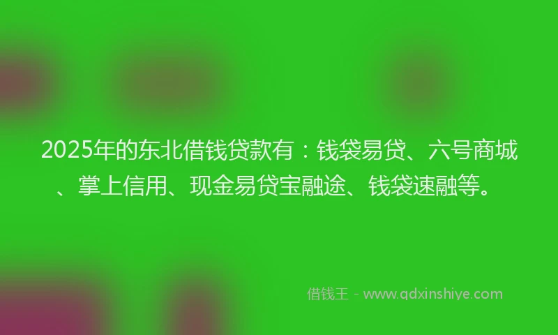 2025年的东北借钱贷款有：钱袋易贷、六号商城、掌上信用、现金易贷宝融途、钱袋速融等。