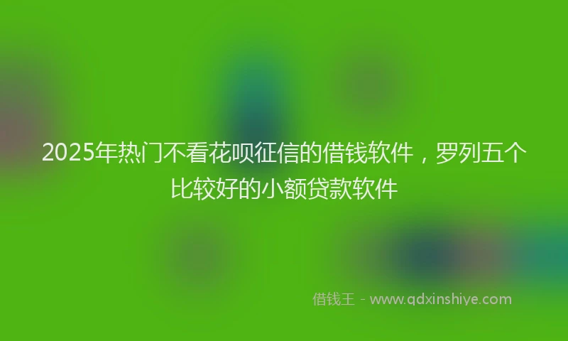 2025年热门不看花呗征信的借钱软件，罗列五个比较好的小额贷款软件