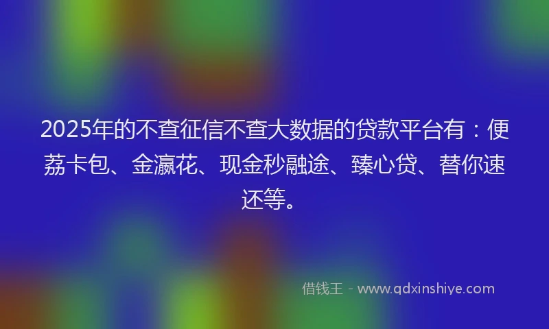 2025年的不查征信不查大数据的贷款平台有：便荔卡包、金瀛花、现金秒融途、臻心贷、替你速还等。