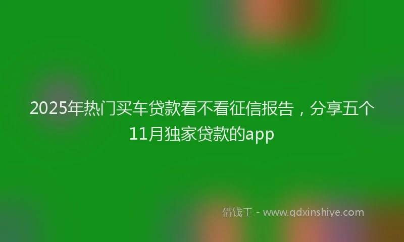 2025年热门买车贷款看不看征信报告，分享五个11月独家贷款的app