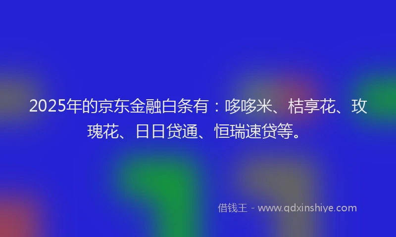 2025年的京东金融白条有：哆哆米、桔享花、玫瑰花、日日贷通、恒瑞速贷等。