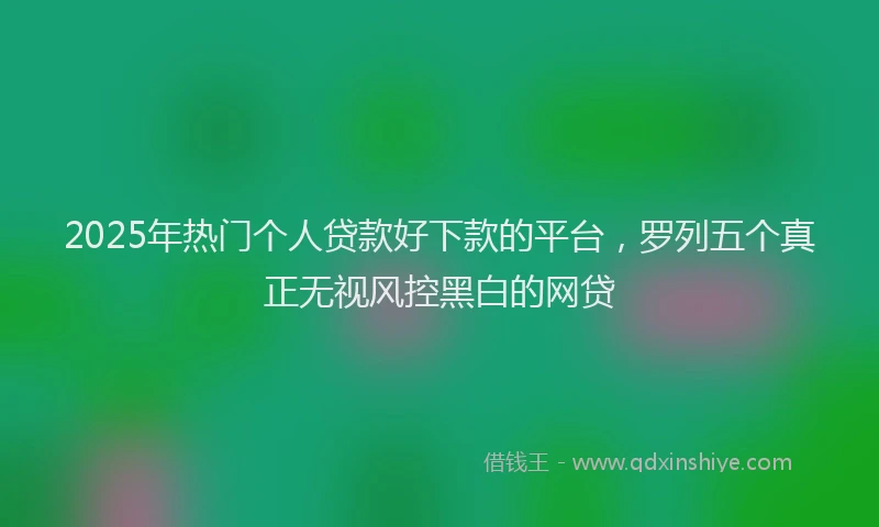 2025年热门个人贷款好下款的平台，罗列五个真正无视风控黑白的网贷
