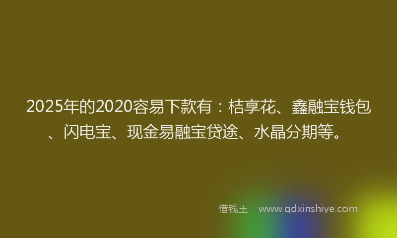 2025年的2020容易下款有：桔享花、鑫融宝钱包、闪电宝、现金易融宝贷途、水晶分期等。