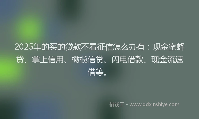 2025年的买的贷款不看征信怎么办有：现金蜜蜂贷、掌上信用、橄榄信贷、闪电借款、现金流速借等。