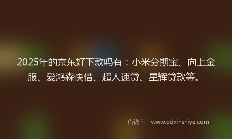 2025年的京东好下款吗有：小米分期宝、向上金服、爱鸿森快借、超人速贷、星辉贷款等。