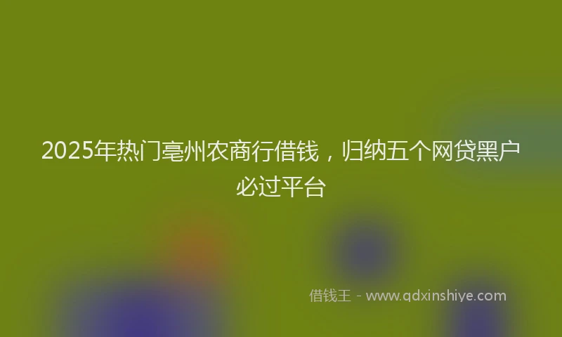 2025年热门亳州农商行借钱，归纳五个网贷黑户必过平台