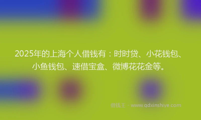 2025年的上海个人借钱有：时时贷、小花钱包、小鱼钱包、速借宝盒、微博花花金等。