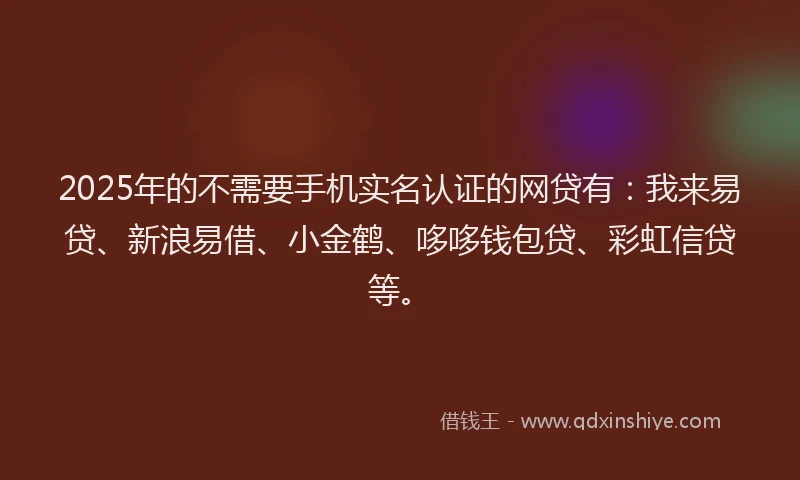 2025年的不需要手机实名认证的网贷有：我来易贷、新浪易借、小金鹤、哆哆钱包贷、彩虹信贷等。