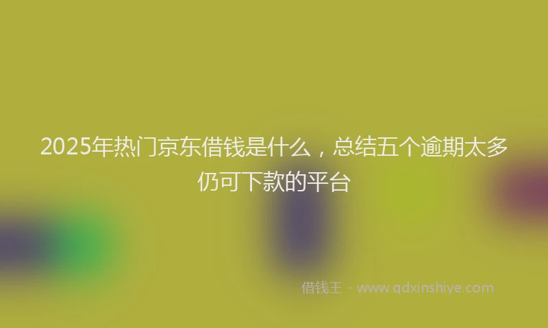 2025年热门京东借钱是什么，总结五个逾期太多仍可下款的平台