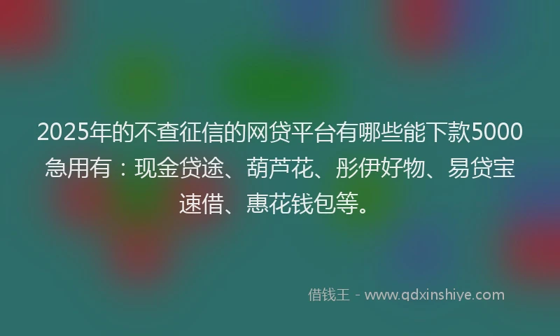 2025年的不查征信的网贷平台有哪些能下款5000急用有：现金贷途、葫芦花、彤伊好物、易贷宝速借、惠花钱包等。