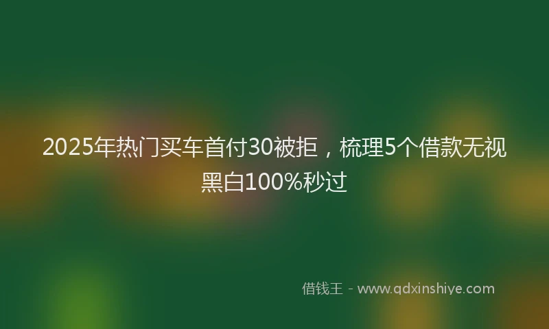 2025年热门买车首付30被拒，梳理5个借款无视黑白100%秒过