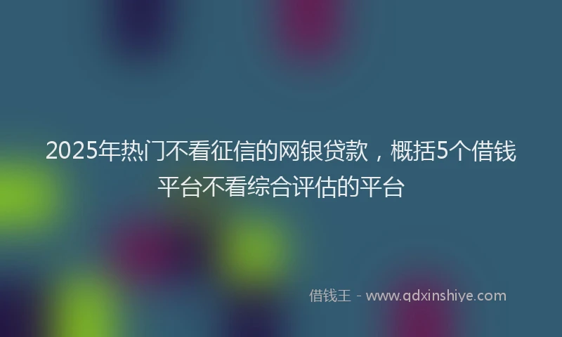 2025年热门不看征信的网银贷款，概括5个借钱平台不看综合评估的平台