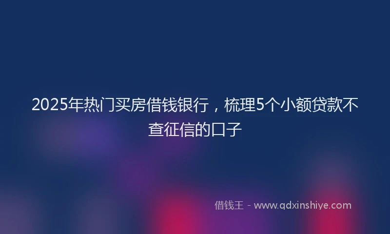 2025年热门买房借钱银行，梳理5个小额贷款不查征信的口子