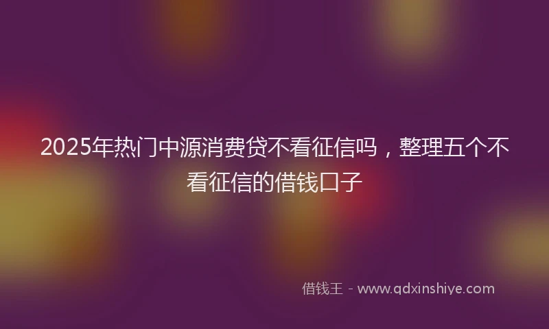 2025年热门中源消费贷不看征信吗，整理五个不看征信的借钱口子