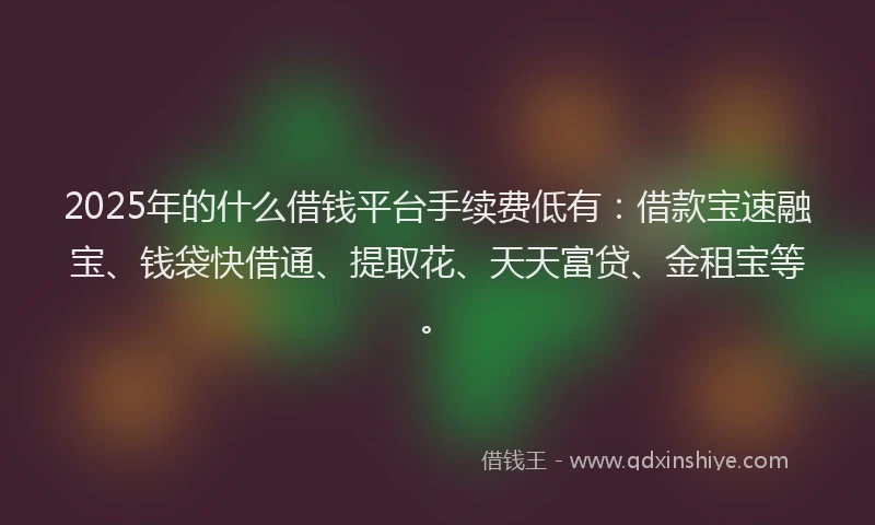 2025年的什么借钱平台手续费低有：借款宝速融宝、钱袋快借通、提取花、天天富贷、金租宝等。