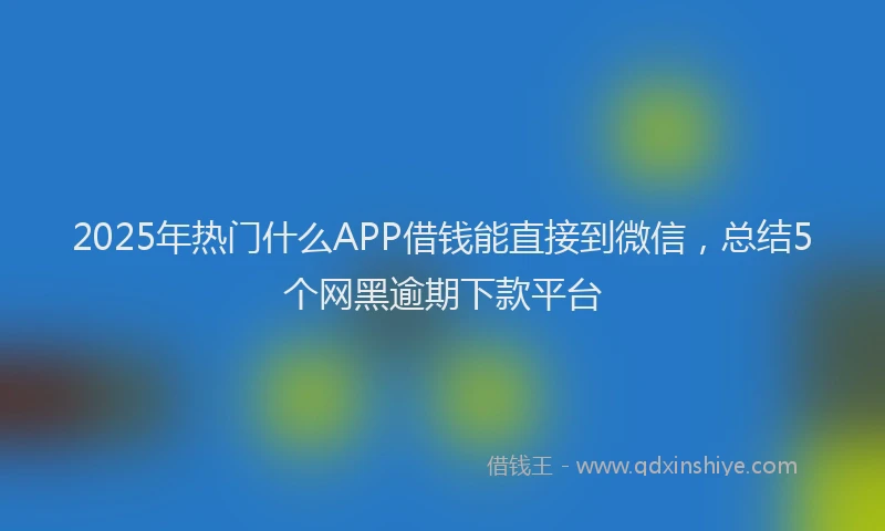 2025年热门什么APP借钱能直接到微信，总结5个网黑逾期下款平台