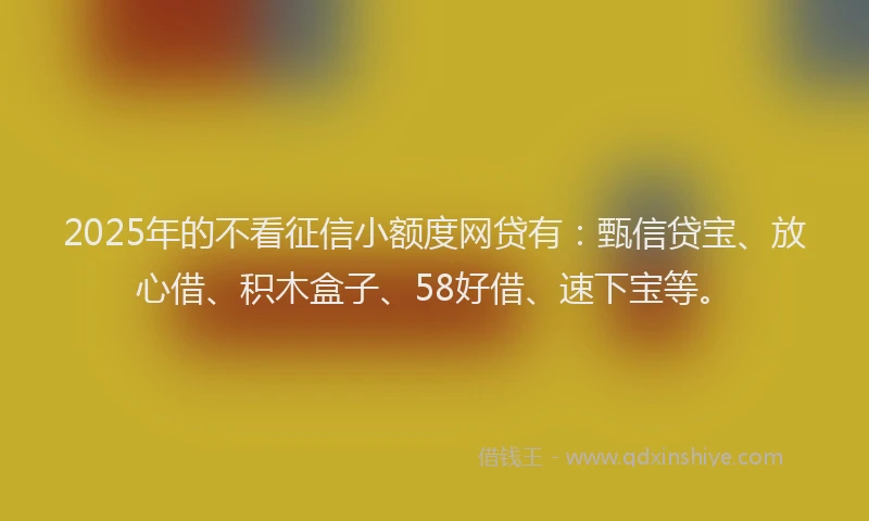2025年的不看征信小额度网贷有：甄信贷宝、放心借、积木盒子、58好借、速下宝等。