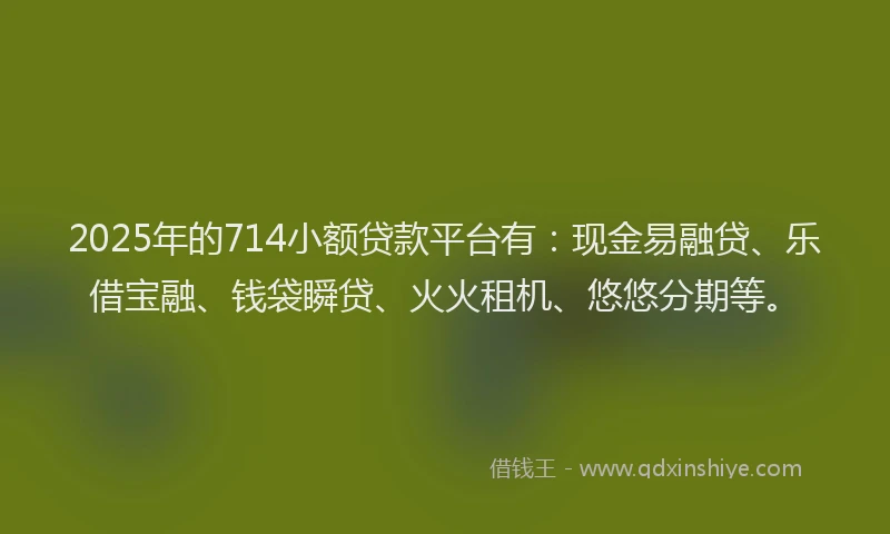 2025年的714小额贷款平台有：现金易融贷、乐借宝融、钱袋瞬贷、火火租机、悠悠分期等。