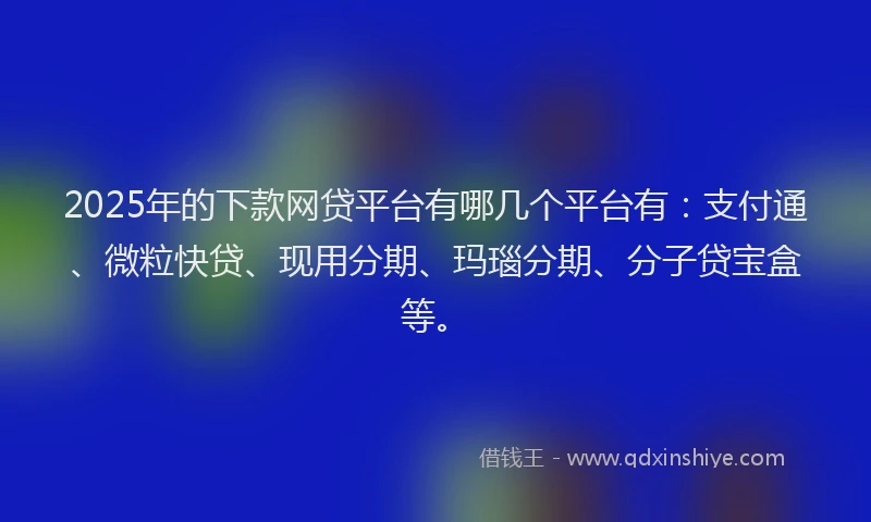 2025年的下款网贷平台有哪几个平台有：支付通、微粒快贷、现用分期、玛瑙分期、分子贷宝盒等。