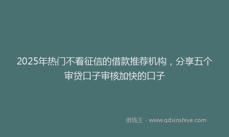 2025年热门不看征信的借款推荐机构，分享五个审贷口子审核加快的口子