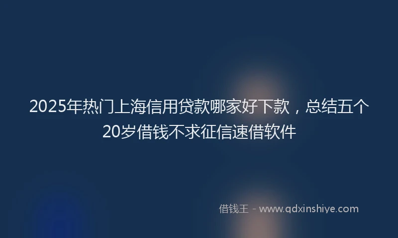 2025年热门上海信用贷款哪家好下款，总结五个20岁借钱不求征信速借软件