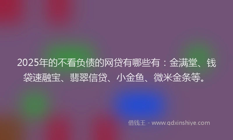2025年的不看负债的网贷有哪些有：金满堂、钱袋速融宝、翡翠信贷、小金鱼、微米金条等。