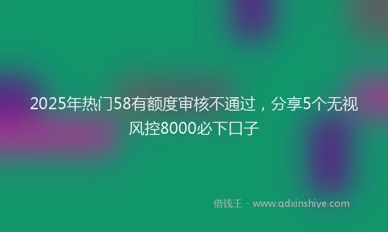 2025年热门58有额度审核不通过，分享5个无视风控8000必下口子