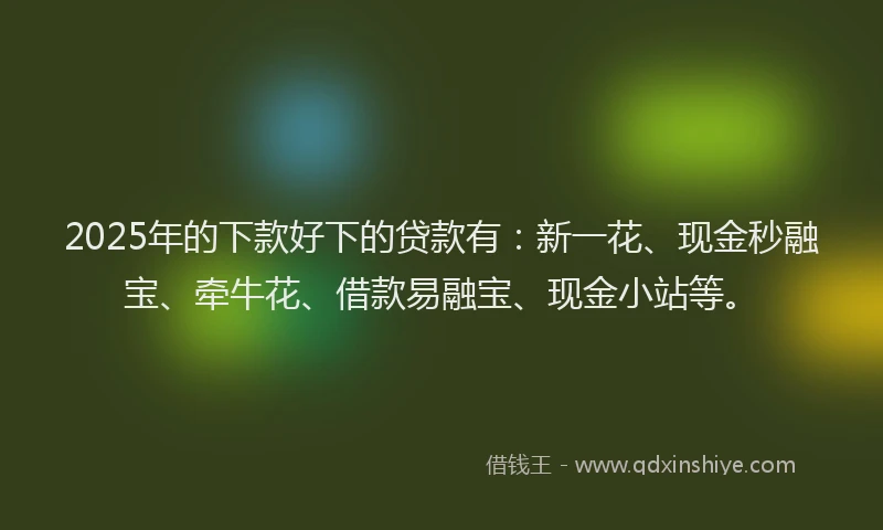 2025年的下款好下的贷款有：新一花、现金秒融宝、牵牛花、借款易融宝、现金小站等。