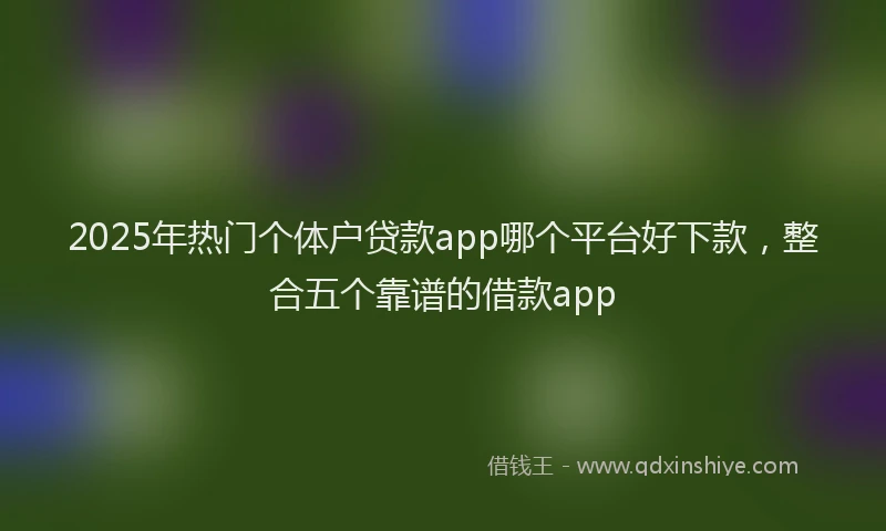 2025年热门个体户贷款app哪个平台好下款，整合五个靠谱的借款app