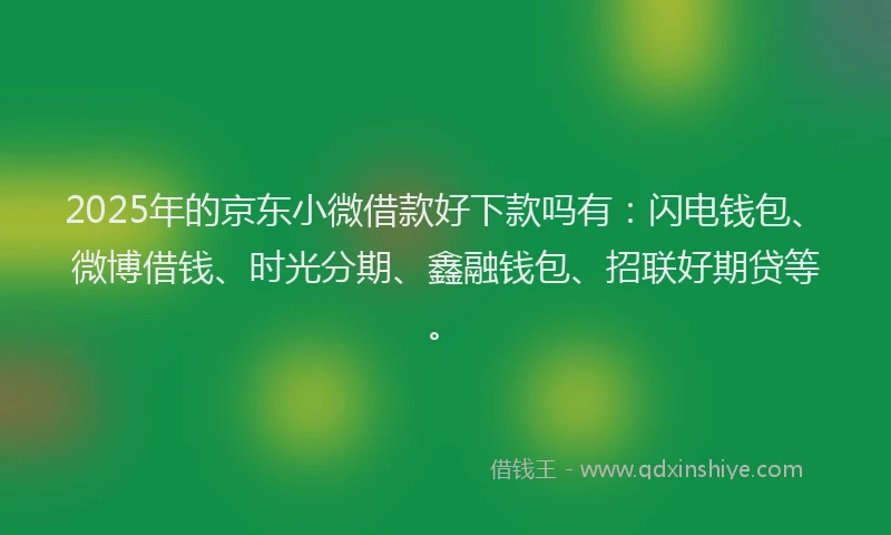 2025年的京东小微借款好下款吗有：闪电钱包、微博借钱、时光分期、鑫融钱包、招联好期贷等。