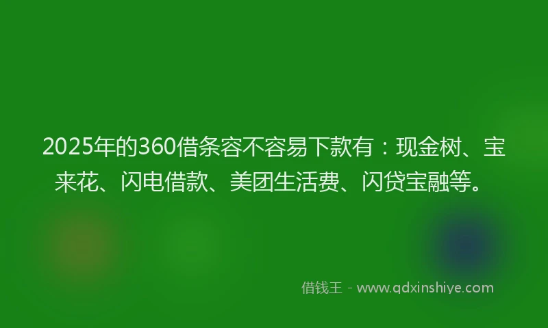 2025年的360借条容不容易下款有：现金树、宝来花、闪电借款、美团生活费、闪贷宝融等。