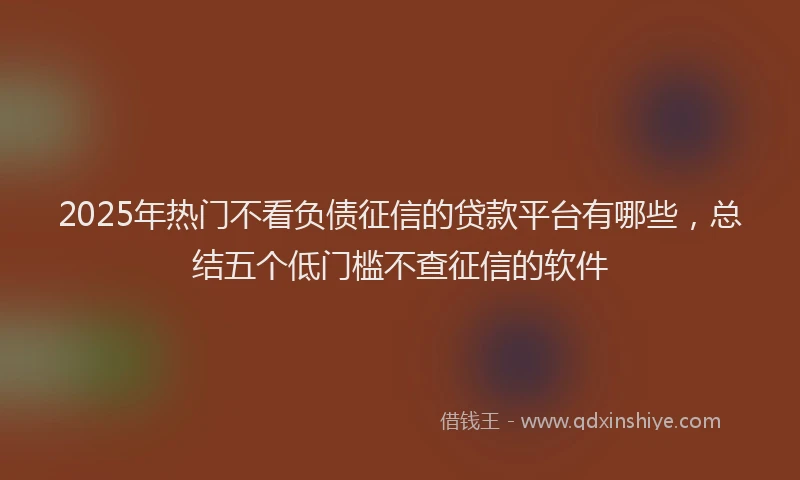 2025年热门不看负债征信的贷款平台有哪些，总结五个低门槛不查征信的软件