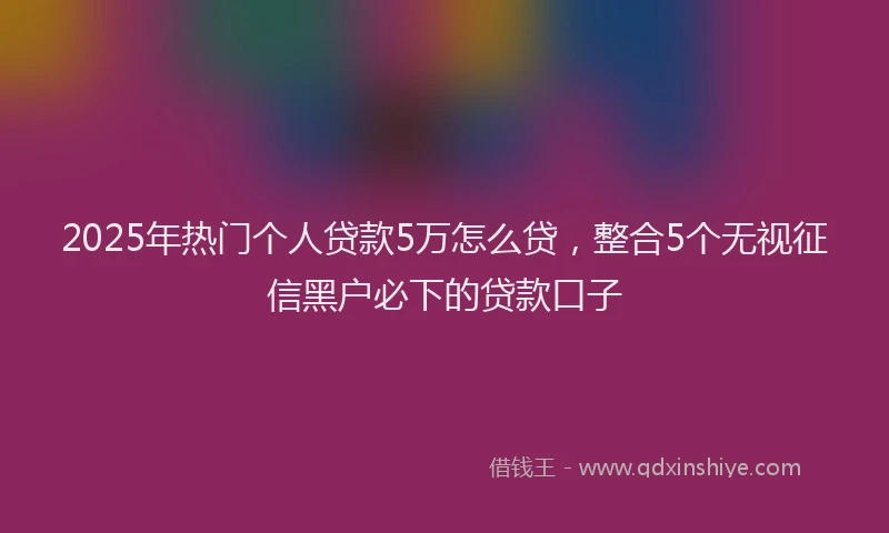 2025年热门个人贷款5万怎么贷，整合5个无视征信黑户必下的贷款口子