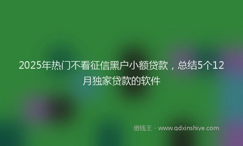 2025年热门不看征信黑户小额贷款，总结5个12月独家贷款的软件