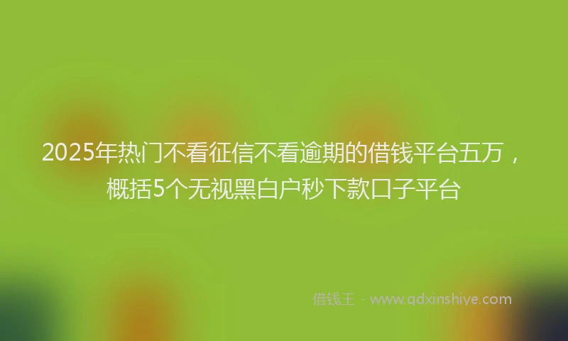 2025年热门不看征信不看逾期的借钱平台五万，概括5个无视黑白户秒下款口子平台