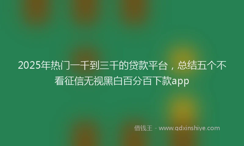 2025年热门一千到三千的贷款平台，总结五个不看征信无视黑白百分百下款app