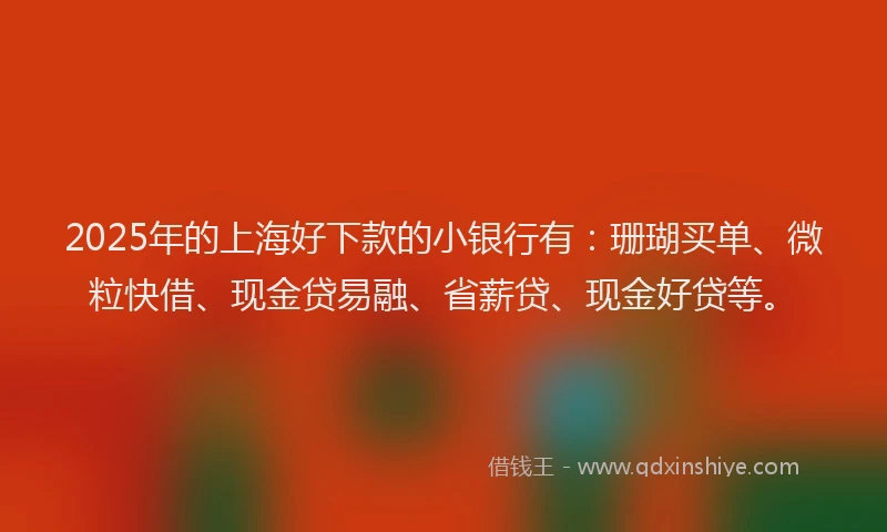 2025年的上海好下款的小银行有：珊瑚买单、微粒快借、现金贷易融、省薪贷、现金好贷等。