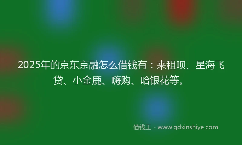 2025年的京东京融怎么借钱有：来租呗、星海飞贷、小金鹿、嗨购、哈银花等。